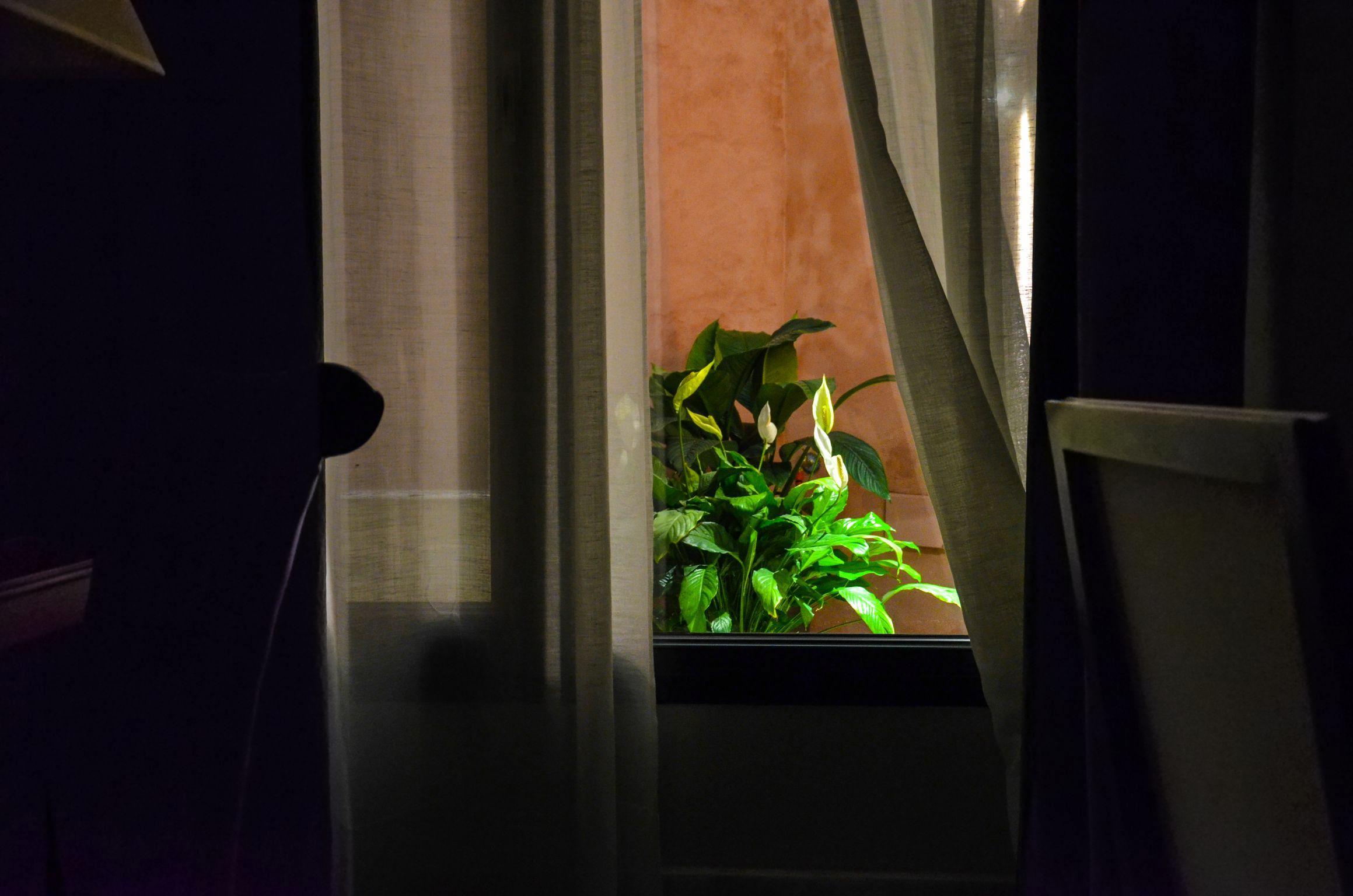 Appartement Aguilas5 Sevillasuites